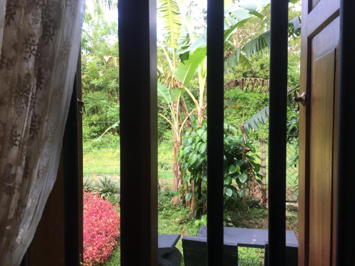 Owls Nest Hotel Udawalawe Exterior foto