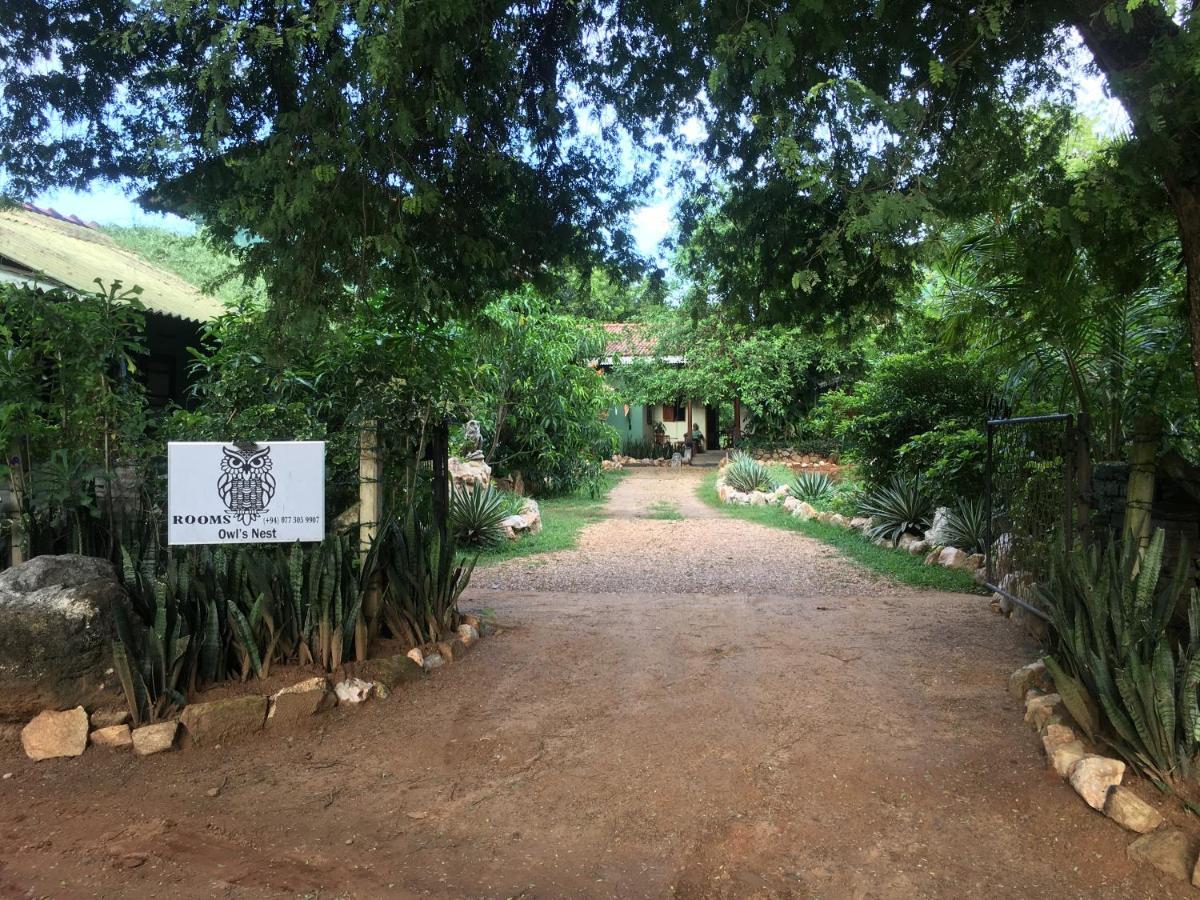 Owls Nest Hotel Udawalawe Exterior foto